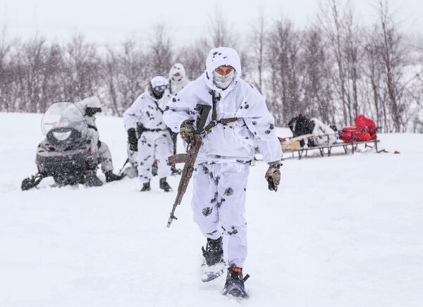 Não se esqueçam de Stalingrado: Rússia manda recado após compra pela OTAN de camuflagens para a neve - Sputnik Brasil