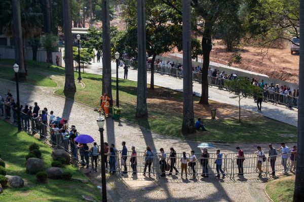 Números de Guedes não refletem realidade sobre emprego no Brasil, avalia socióloga Números de Guedes não refletem realidade sobre emprego no Brasil, avalia socióloga - Sputnik Brasil