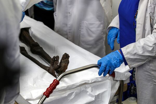 Preparações da múmia de Sennedjem para a fumigação no Museu Nacional da Civilização Egípcia (NMEC), no Cairo - Sputnik Brasil
