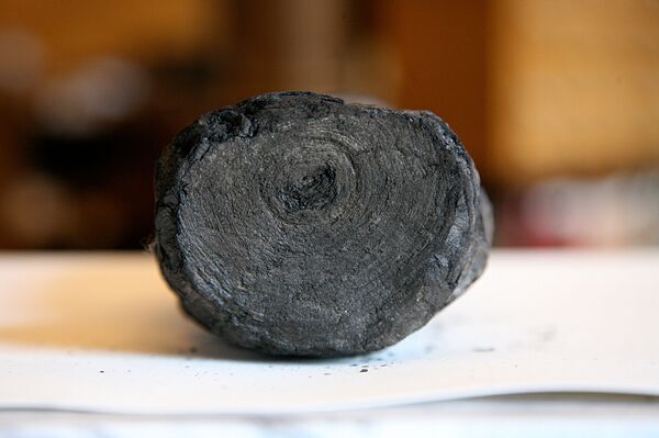 Supostos pergaminhos da família de Júlio César podem ser lidos pela 1ª vez em 2 mil anos (FOTOS) - Sputnik Brasil