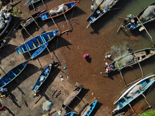 Vendedores compram peixe em um porto de pesca na aldeia de Agonda, na Índia - Sputnik Brasil