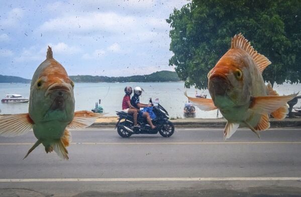 Foto da praia de Ra Wai através do vidro de aquário com peixes, na ilha de Phuket, Tailândia - Sputnik Brasil