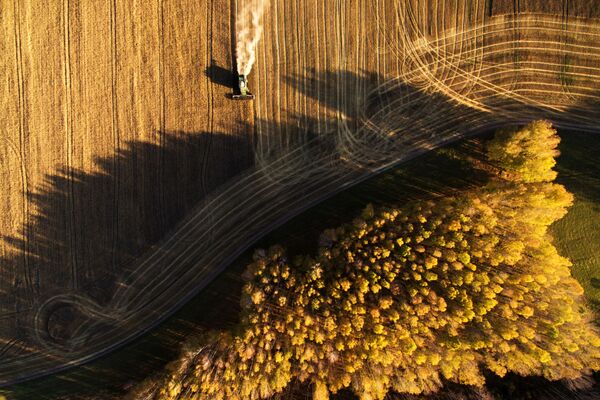 Colheita de cereais na região de Novossibirsk, na Rússia - Sputnik Brasil