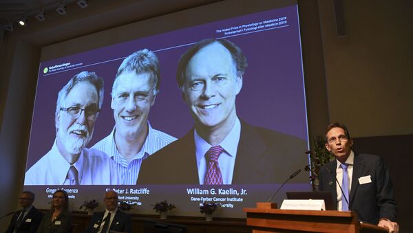 Ganhadores do Nobel de Fisiologia ou Medicina 2019, cientistas William Kaelin, Peter Ratcliffe e Gregg Semenza, 7 de outubro de 2019 - Sputnik Brasil
