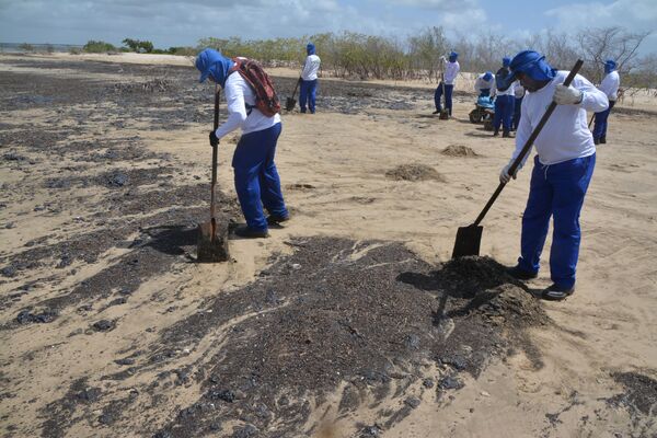 Agentes limpam manchas de óleo que atingiram a praia do Viral, na região de Mosqueiro, em Aracaju (SE) - Sputnik Brasil