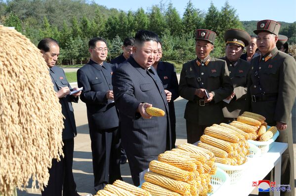 Líder norte-coreano Kim Jong-un visitando uma fazenda - Sputnik Brasil