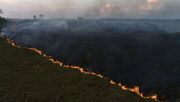  Vista aérea de queimada na Floresta Amazônia, vista a partir da cidade de Porto Velho, capital de Rondônia.  - Sputnik Brasil