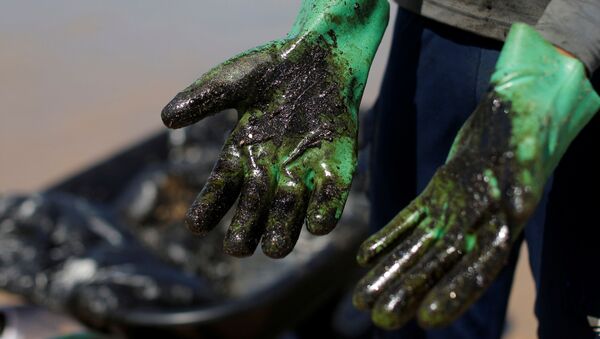 Homem mostra suas luvas cobertas por petróleo ao trabalhar na limpeza da Praia de Coruripe, em Alagoas. - Sputnik Brasil