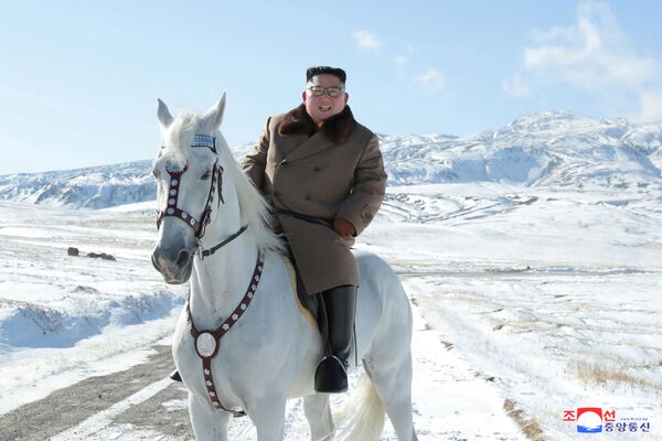 Kim Jong-un sobe monte sagrado a cavalo 'em busca de inspiração' (FOTOS) - Sputnik Brasil