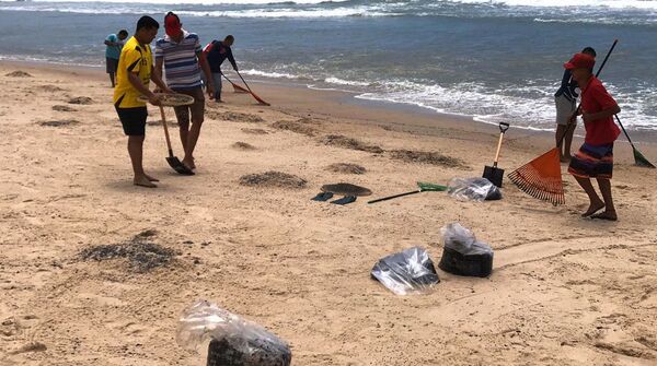 Óleo na costa do Nordeste fica cada vez mais difícil de ser controlado, alerta especialista - Sputnik Brasil