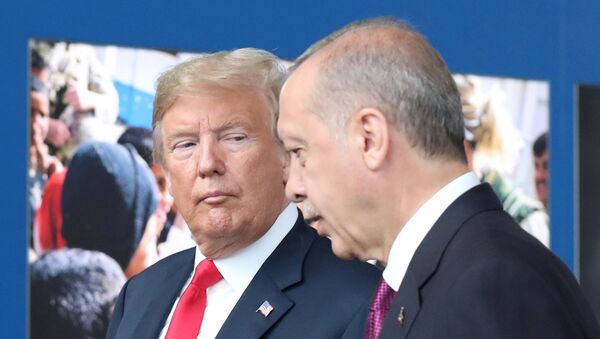 Presidente dos EUA, Donald Trump, concede entrevista ao lado de seu homólogo turco, Recep Tayyip Erdogan, em conferência da OTAN - Sputnik Brasil