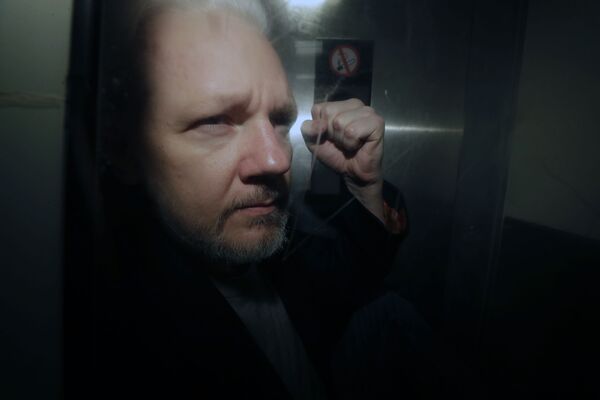 Saúde de Assange está em risco, informam as Nações Unidas Saúde de Assange está em risco, informam as Nações Unidas - Sputnik Brasil