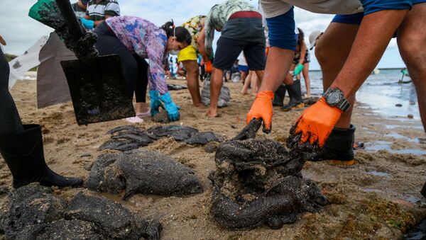 Voluntários trabalham para remover óleo na praia de Suape, em Cabo de Santo Agostinho, no estado de Pernambuco, Brasil. Foto de 20 de outubro de 2019. - Sputnik Brasil