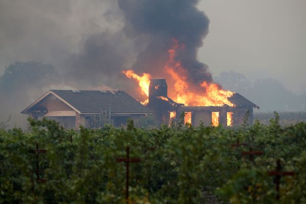 Nova onda de ventos secos agravará incêndios florestais em 'toda a Califórnia' Nova onda de ventos secos agravará incêndios florestais em 'toda a Califórnia' - Sputnik Brasil
