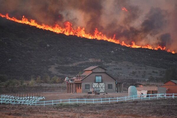 Incêndio florestal em Valle de Guadalupe, no México - Sputnik Brasil