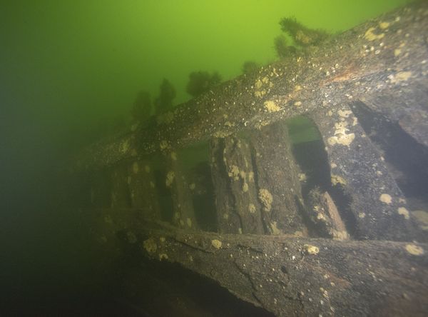 Navio naufragado do século XVII é encontrado na Suécia (FOTOS) Navio naufragado do século XVII é encontrado na Suécia (FOTOS) - Sputnik Brasil