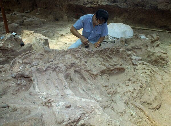 Fósseis de nova espécie de dinossauro são encontrados na Tailândia Fósseis de nova espécie de dinossauro são encontrados na Tailândia - Sputnik Brasil
