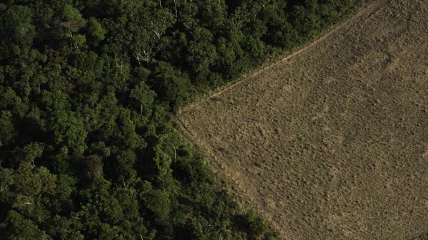 Terreno desmatado e queimado é visto na floresta Amazônica nos arredores de Porto Velho, em Rondônia - Sputnik Brasil