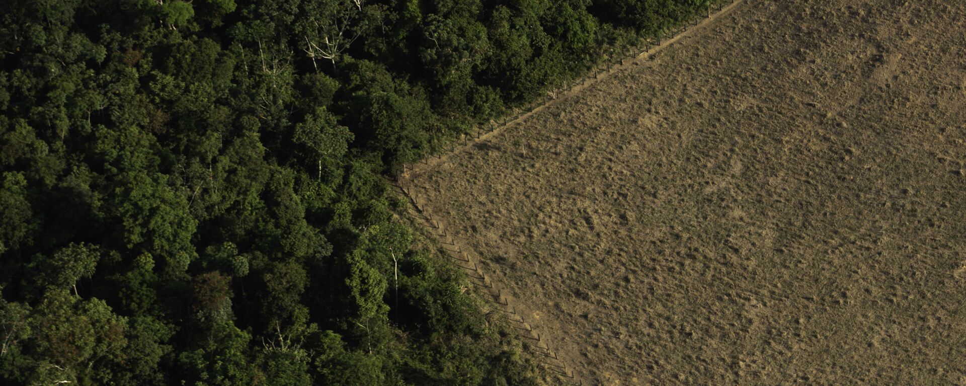 Terreno desmatado e queimado é visto na floresta Amazônica nos arredores de Porto Velho, em Rondônia - Sputnik Brasil, 1920, 03.10.2020