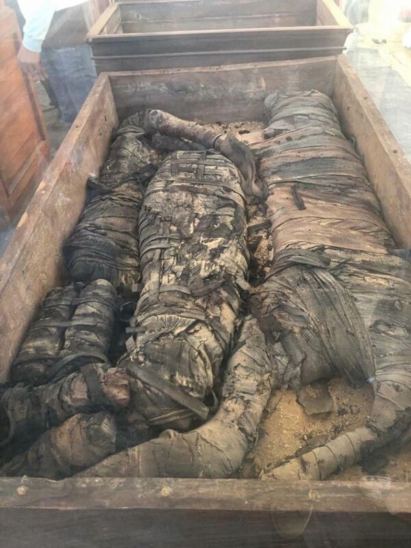 Múmias de animais e figuras antigas são encontradas no Egito (FOTOS)  - Sputnik Brasil