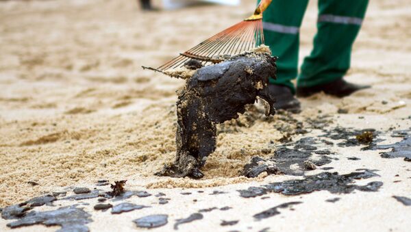 Voluntário retira óleo das areias da praia de Barra de Jacuipe em Camaçari, na Bahia - Sputnik Brasil