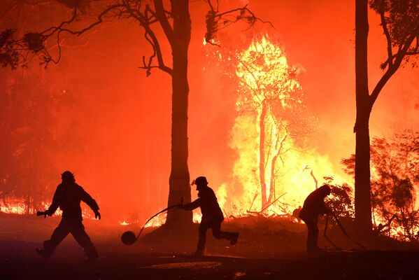 Voluntários, bombeiros e socorristas da Nova Gales do Sul lutam contra incêndio perto do povoado de Termeil, Austrália - Sputnik Brasil