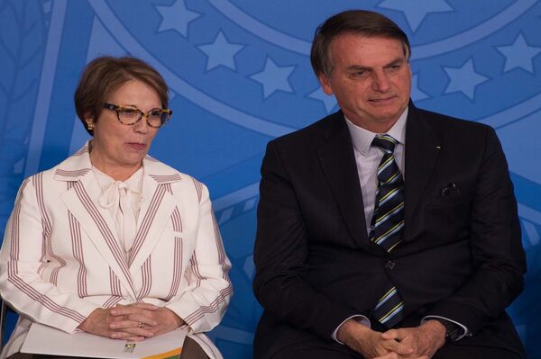 No Fórum de Davos, Hamilton Mourão pede investimentos privados para proteção da Amazônia - Sputnik Brasil