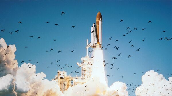 Ônibus espacial Challenger sendo lançado em 28 de janeiro de 1986 (foto de arquivo) - Sputnik Brasil