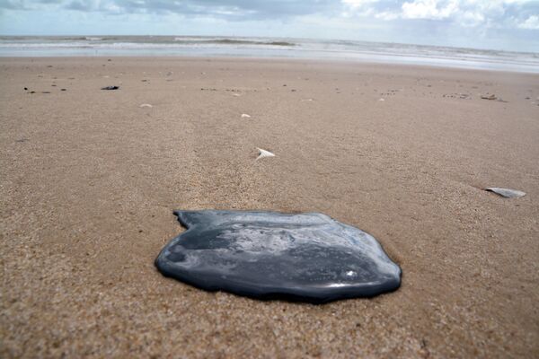 Manchas de óleo atingem a praia da Coroa do Meio, em Aracaju (SE) - Sputnik Brasil
