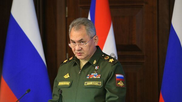 Ministro da Defesa da Rússia, Sergei Shoigu, discursa em 24 de dezembro de 2019 - Sputnik Brasil