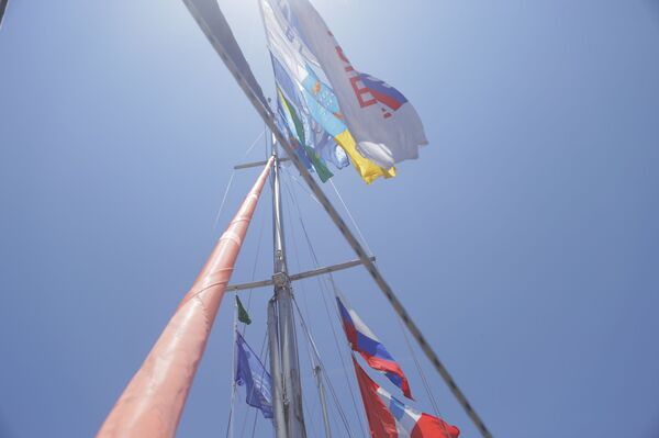 Raridade profunda é descoberta por marinheiros russos nas águas da Antártica - Sputnik Brasil