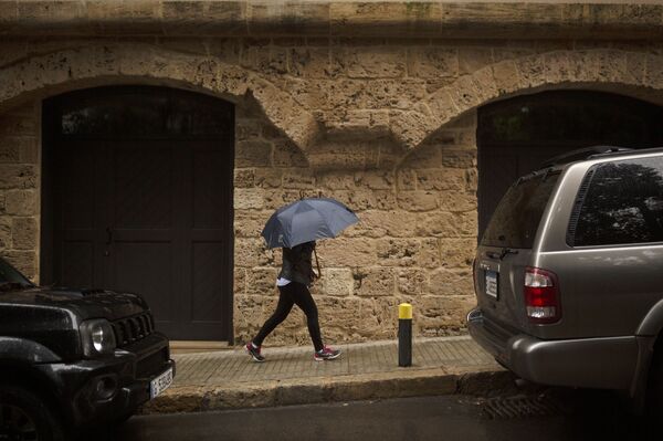 Líbano recebe mandado de prisão da Interpol para Carlos Ghosn - Sputnik Brasil