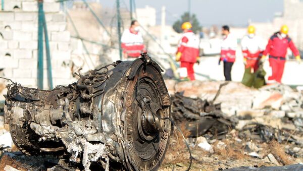 Avião Boeing 737-800 cai após decolagem de Teerã, matando todas as 176 pessoas a bordo, 8 de janeiro de 2020 - Sputnik Brasil