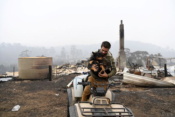 Australiano com seu cachorro visita propriedade arruinada por incêndio - Sputnik Brasil