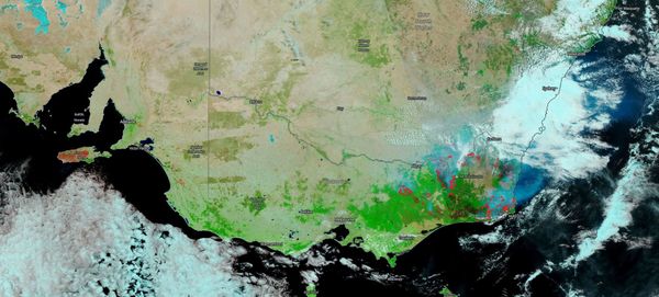 Fumaça dos incêndios da Austrália já deu uma volta completa ao redor da Terra, informa NASA (FOTO) - Sputnik Brasil