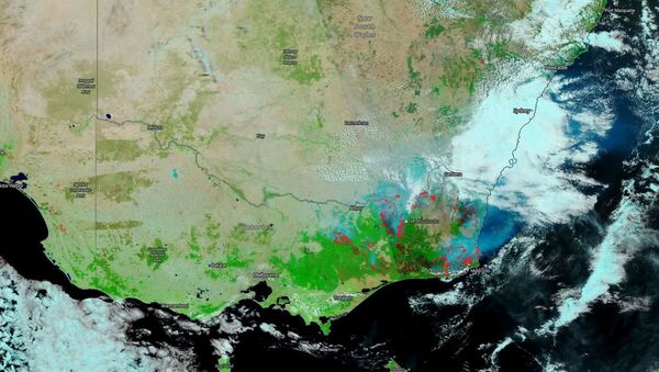 Imagem feita pelo satélite Suomi NPP mostra os incêndios no leste da Austrália com fumaça e nuvens saindo das áreas afetadas pelo incêndio, 13 de janeiro de 2020 - Sputnik Brasil
