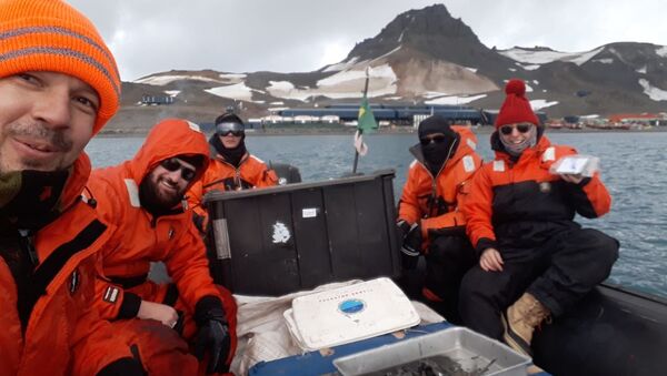 Pesquisadores brasileiros durante expedição à Antártica - Sputnik Brasil