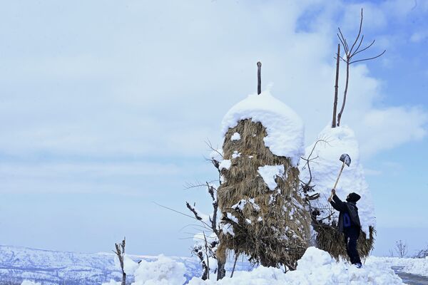 Camponês remove neve depois de forte nevasca na Índia
 - Sputnik Brasil