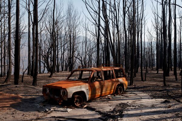 Carro queimado é encontrado depois de ser atingido por incêndio florestal na Austrália
 - Sputnik Brasil