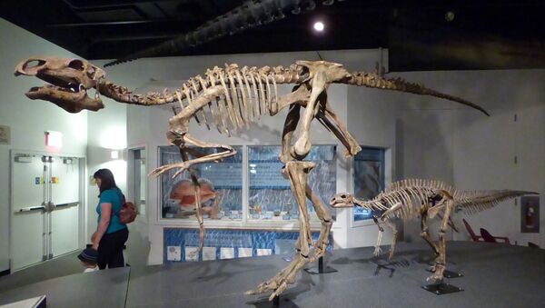 Iguanodonte no Museu de História Natural - Sputnik Brasil