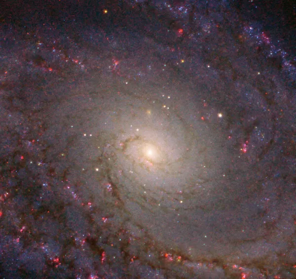 FOTO da parte central de galáxia espiral é divulgada pela NASA FOTO da parte central de galáxia espiral é divulgada pela NASA - Sputnik Brasil