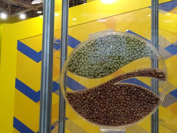 Exportações do Brasil para Rússia têm novo carro-chefe - Sputnik Brasil