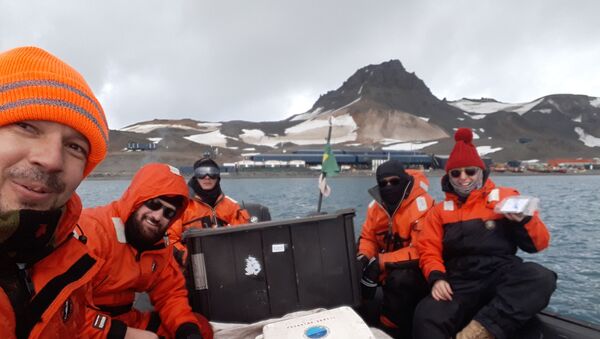 Pesquisadores brasileiros na Antártica  - Sputnik Brasil