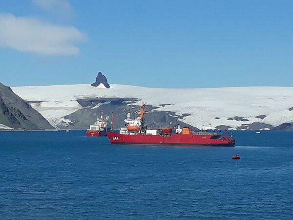 Expedição brasileira à Antártica alerta sobre aumento do número de turistas na região - Sputnik Brasil