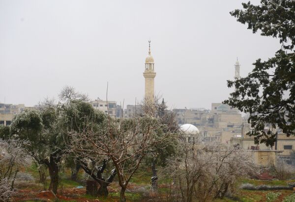 'Esfregamos o nariz deles na lama': forças sírias reforçam controle sobre Aleppo - Sputnik Brasil