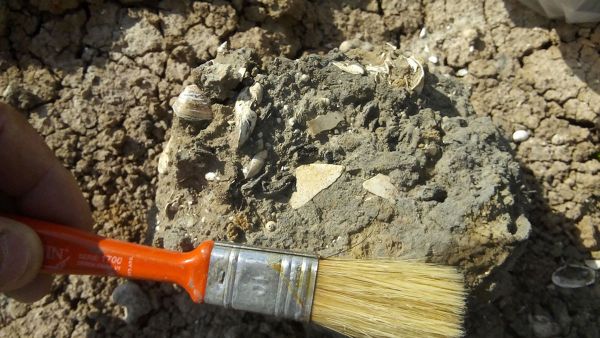 Encontrada praia de 5.000 anos a centenas de quilômetros do mar, na Argentina (FOTOS) Encontrada praia de 5.000 anos a centenas de quilômetros do mar, na Argentina (FOTOS) - Sputnik Brasil