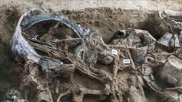 Encontrada tumba de príncipe de 2.600 anos com coleção de peças valiosíssimas na Itália (FOTOS) - Sputnik Brasil
