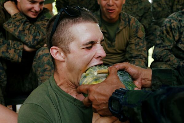 Soldado norte-americano com abóbora crua como parte do exercício militar Cobra Gold - Sputnik Brasil