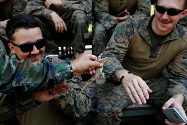Na Tailândia, instrutor demonstra lagarto para soldados dos Estados Unidos - Sputnik Brasil