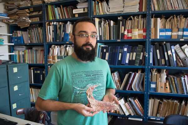 Curiosa fauna de dinossauros carnívoros é encontrada na Patagônia (FOTO) Curiosa fauna de dinossauros carnívoros é encontrada na Patagônia (FOTO) - Sputnik Brasil